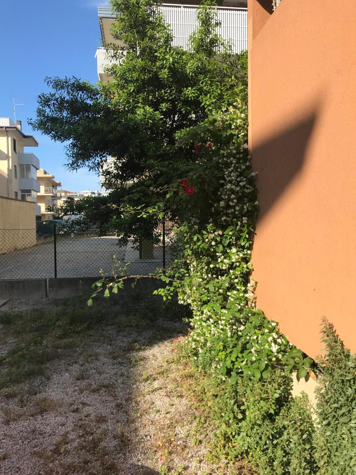 Apartment Monolocale A Grado